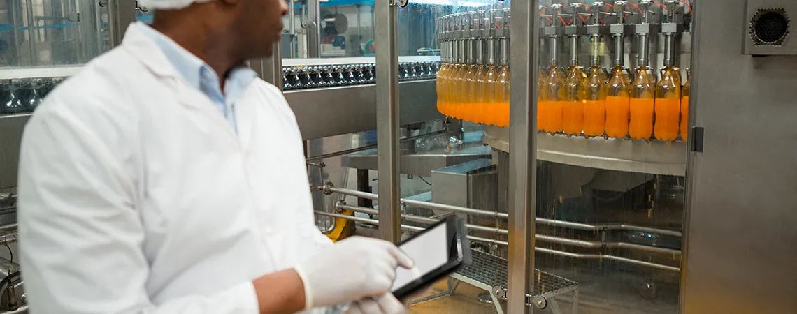 Ansys-Food-Processing-slide